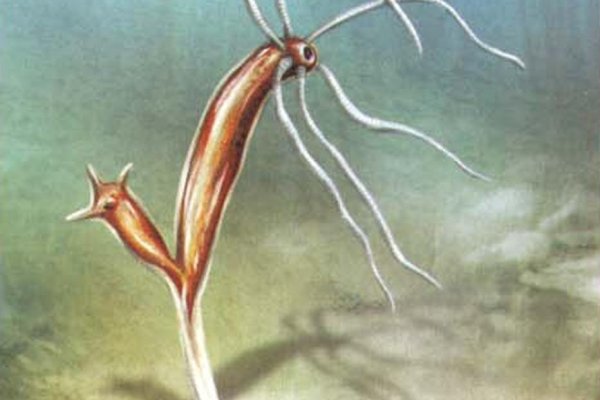 Кракен без тора