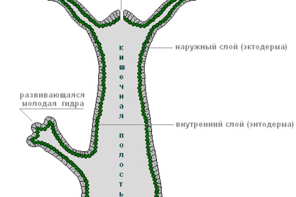 Не могу зайти в аккаунт кракен