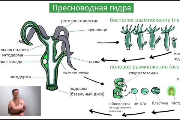 Кракен как попасть