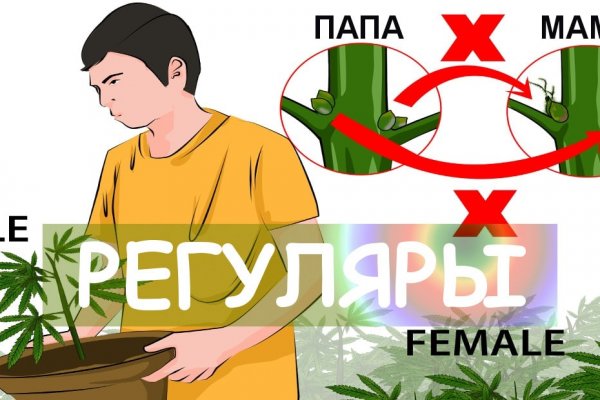 Сайт krn