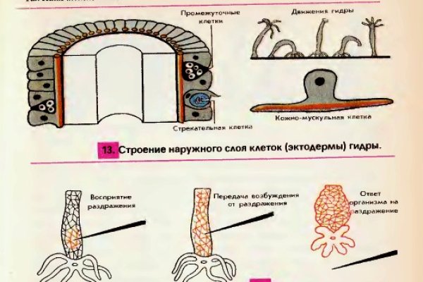 Что такое кракен в даркнете